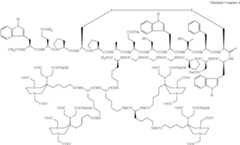 Figure US08278274-20121002-C00032