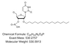 Figure imgf000071_0001