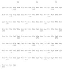 Figure 109106319-A0305-02-0228-203