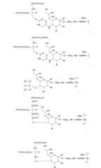 Figure 112009026250918-PCT00053