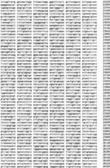 Figure IPA0000293710130000081