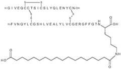 Figure BDA0002383682850000801