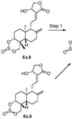 Figure imgf000079_0001