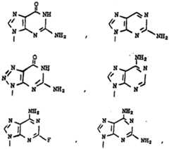 Figure imgf000055_0002