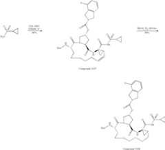 Figure US07829665-20101109-C00476