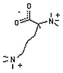Figure imgf000012_0004
