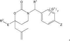 Figure FDA0000045152810000022