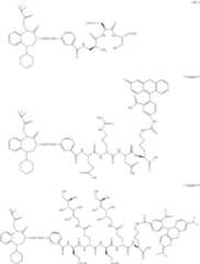 Figure US10080805-20180925-C00016