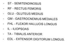 Figure imgf000022_0001