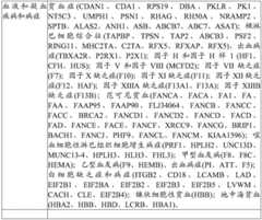 Figure BDA0004033970230003822