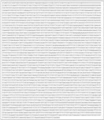 Figure imgf000197_0002