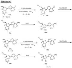 Figure imgf000048_0002