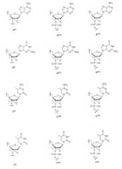 Figure JPOXMLDOC01-appb-C000046