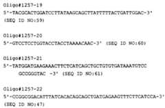 Figure imgf000082_0001