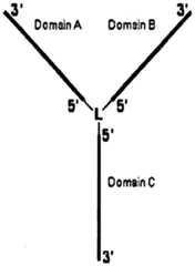 Figure imgf000073_0001