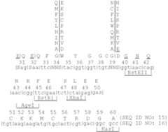 Figure US08283321-20121009-C00014