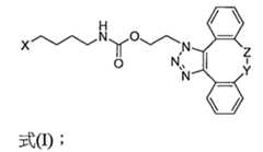 Figure 109130857-A0202-12-0205-300