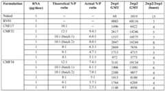 Figure imgf000080_0001