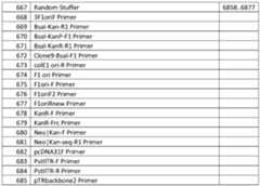 Figure imgf000091_0001