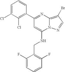 Figure US07119200-20061010-C01235