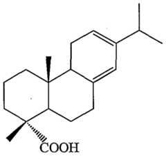 Figure imgf000021_0002