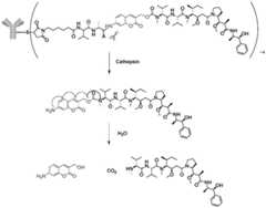 Figure BDA0003376679440000271