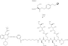 Figure US10080805-20180925-C00096
