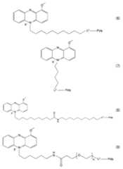 Figure JPOXMLDOC01-appb-C000039