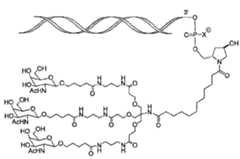 Figure 107123784-A0305-02-0249-24