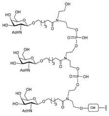 Figure 2023012548000782