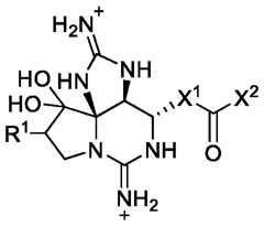 Figure imgf000125_0001