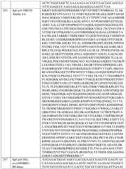 Figure imgf000161_0001