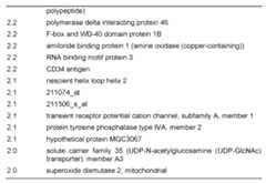 Figure imgf000017_0001