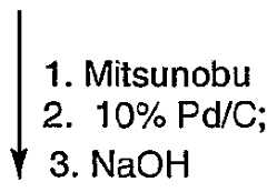 Figure imgf000053_0003