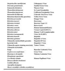 Figure imgf000468_0001