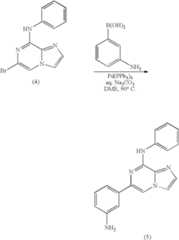 Figure US07405295-20080729-C00014