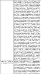 Figure BDA0004033970230007581