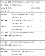 Figure BDA0002526715610000281