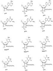 Figure BDA0002550837380001771