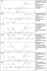 Figure imgf000079_0001