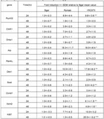 Figure imgf000198_0001