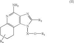 Figure US06683088-20040127-C00063