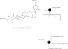 Figure US07179617-20070220-C00111