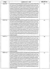 Figure 112007076532217-PCT00015