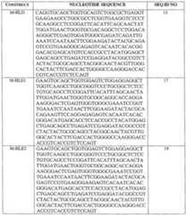 Figure imgf000052_0001