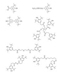 Figure 2024079817000112