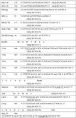 Figure imgf000090_0001