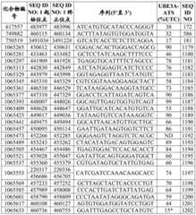 Figure BDA0003282506760001402