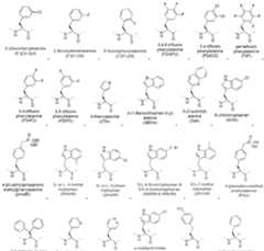 Figure imgf000014_0002