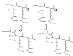 Figure imgf000080_0001